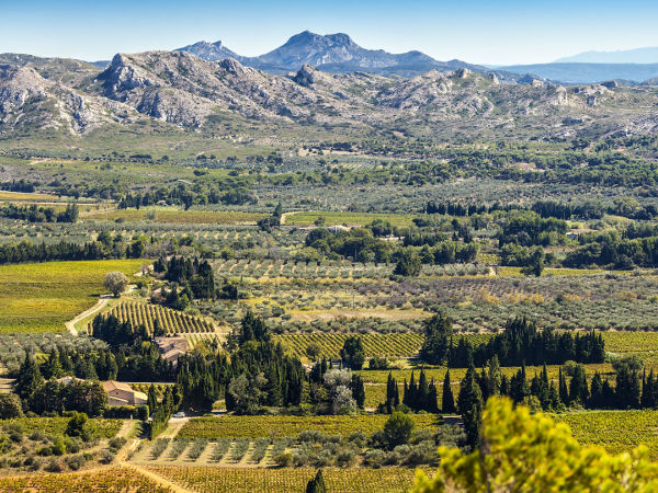 excursion mont ventoux